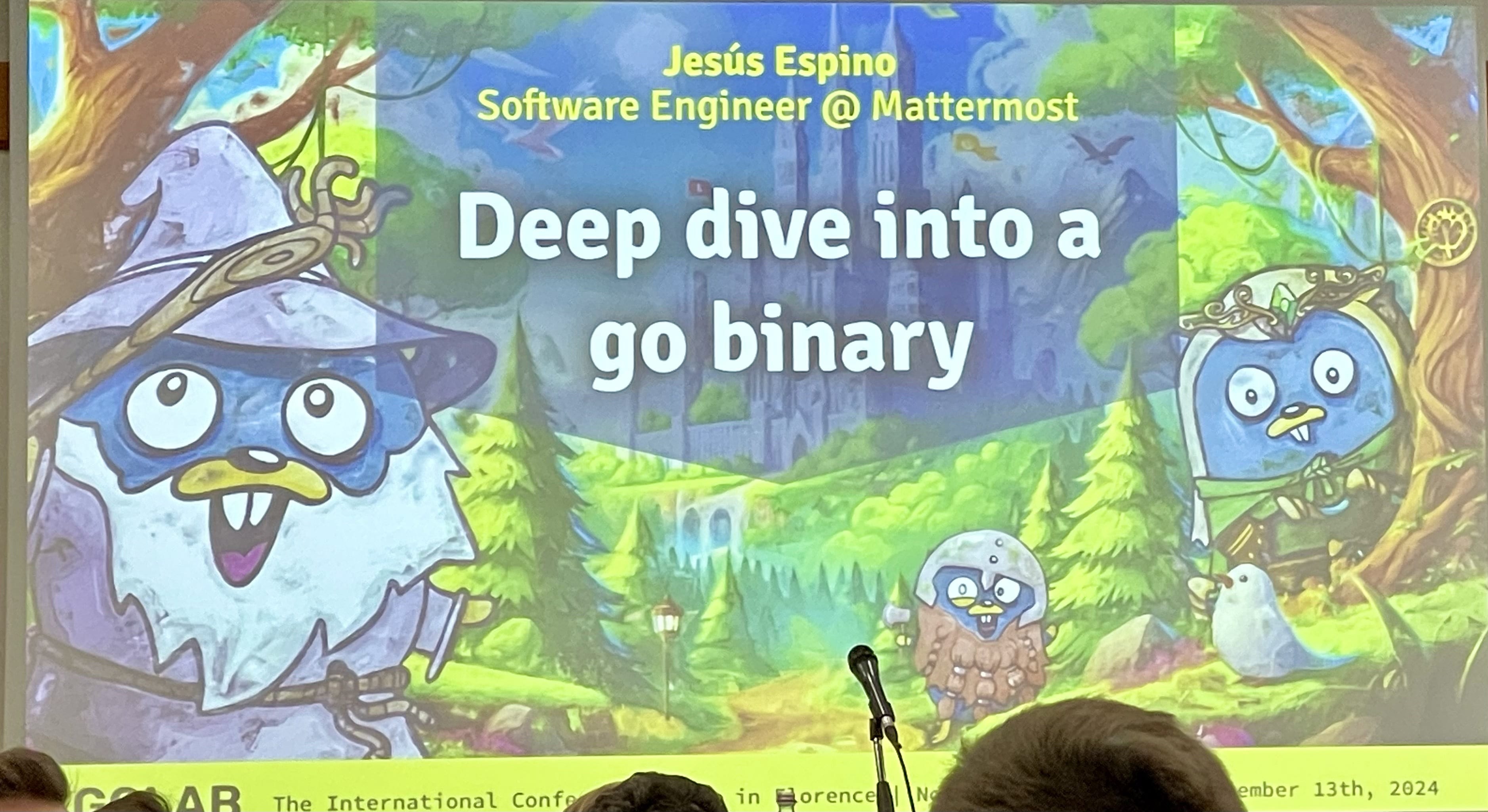 Deep dive in go binary